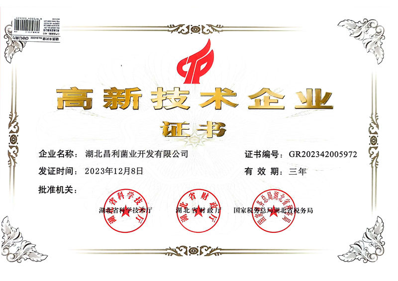 高新技術(shù)企業(yè)