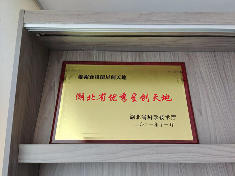 湖北省優(yōu)秀星創(chuàng)天地